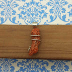 925 Sterling Silver Coral Reef Pendant – Natural Gemstone Astrology Healing Jewelry