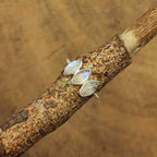 Minimal Triple Stone Rainbow Moonstone 925 Silver Ring Gift