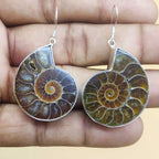 Ammonite Shell  Gemstone Earring 925 Silver