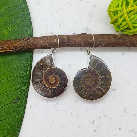 Ammonite Shell  Gemstone Earring 925 Silver
