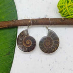 Ammonite Shell  Gemstone Earring 925 Silver