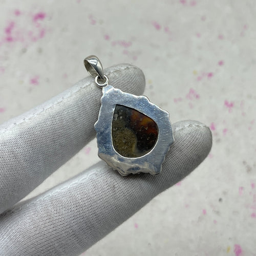 Ammonite Shell 925 Sterling Silver Pendant – Unique Artisan Fossil Pendant